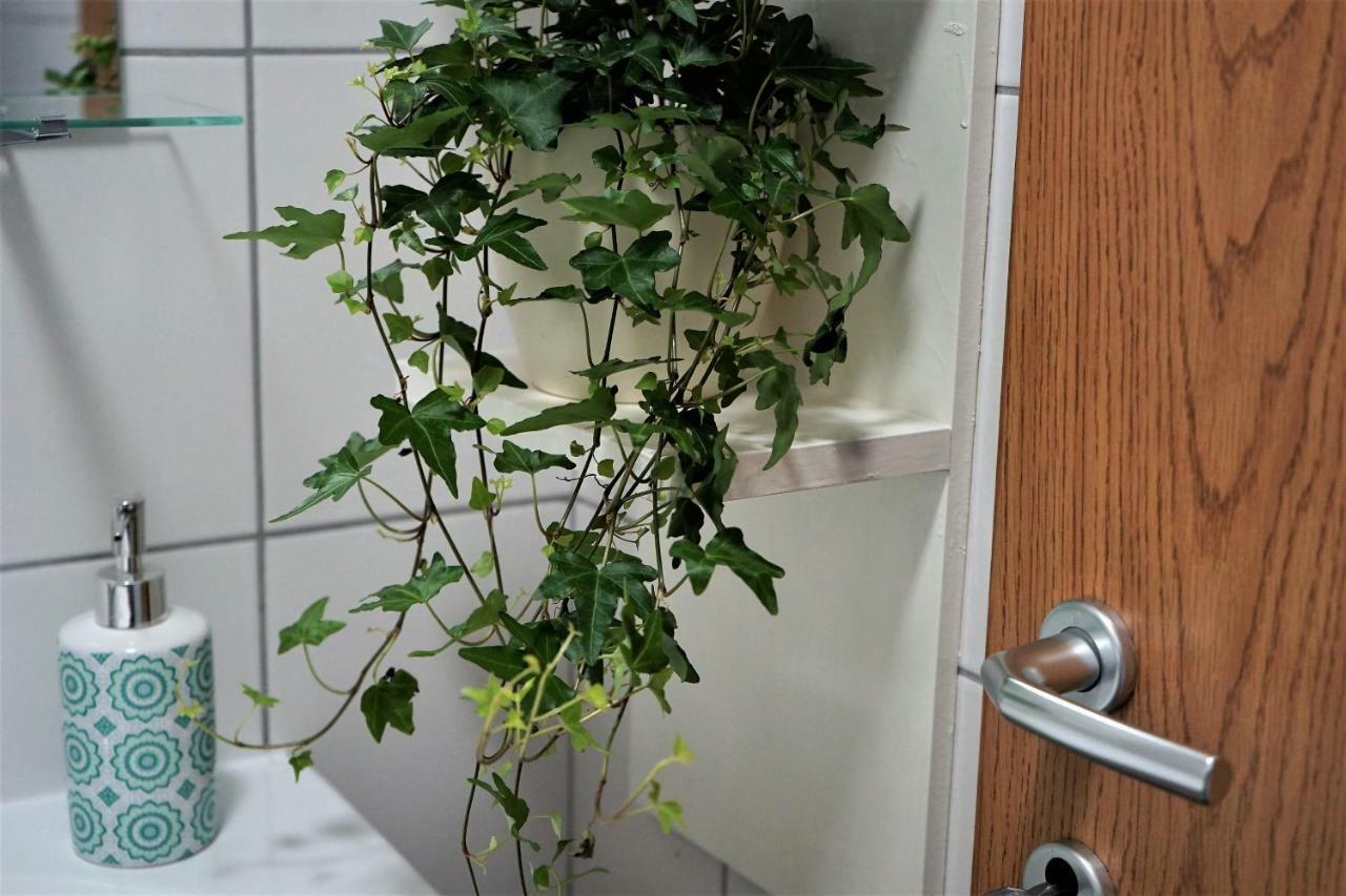Momo'S Studio Apartment Zagrzeb Zewnętrze zdjęcie
